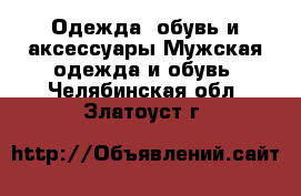 Одежда, обувь и аксессуары Мужская одежда и обувь. Челябинская обл.,Златоуст г.